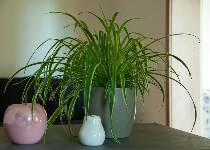 Apartment Stefanie *